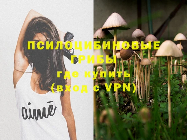 гидра Нягань