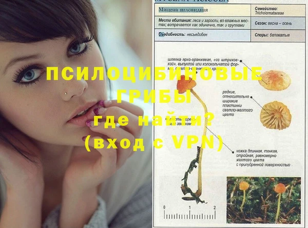 не бодяженный Болотное