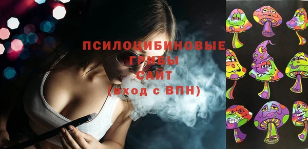 гидропоника Няндома