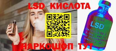 индика Кингисепп