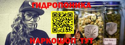 spice Кимры