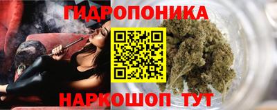 spice Кимры