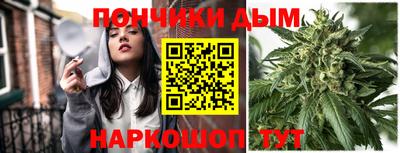 индика Кингисепп