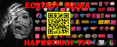 индика Кингисепп
