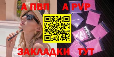 индика Кингисепп