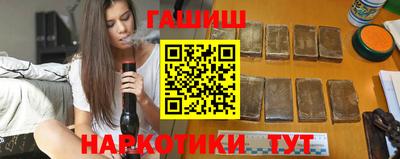 индика Кингисепп