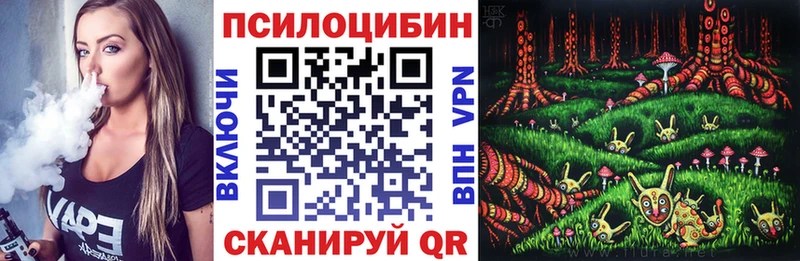 Галлюциногенные грибы Psilocybine cubensis продажа наркотиков Биробиджан