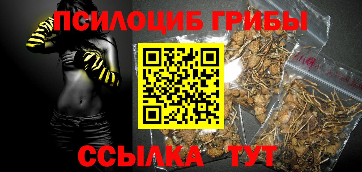 Псилоцибиновые грибы прущие грибы Биробиджан