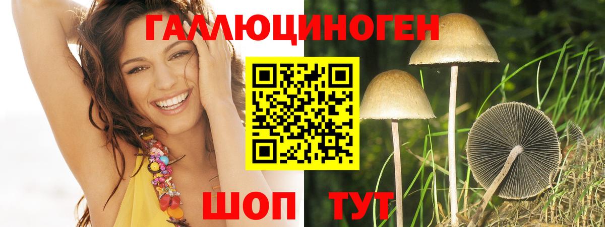 Галлюциногенные грибы Psilocybe  Вход с VPN  Биробиджан 