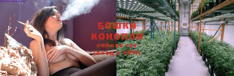 купить наркотик  Биробиджан  blacksprut ТОР  Каннабис THC 21% 